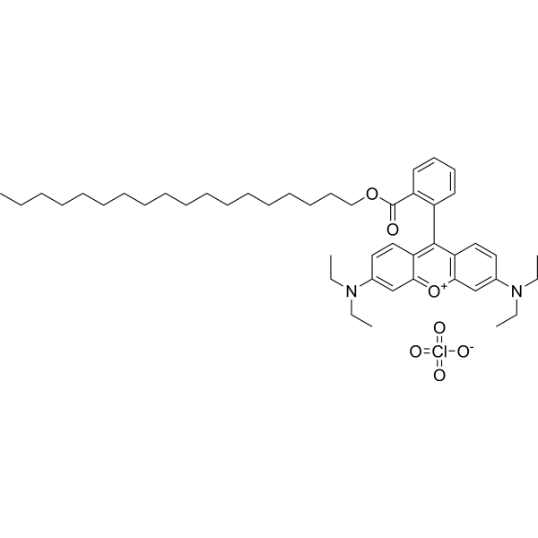 Octadecyl Rhodamine B perchlorate 142179-00-8